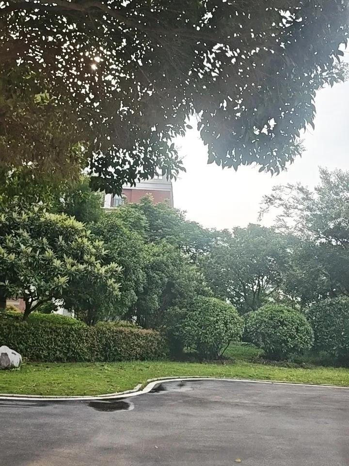 雨后初晴，绿意盎然，静享自然之美。这里有绿的清彻，静的惬意，这是初夏的魅力。阳光
