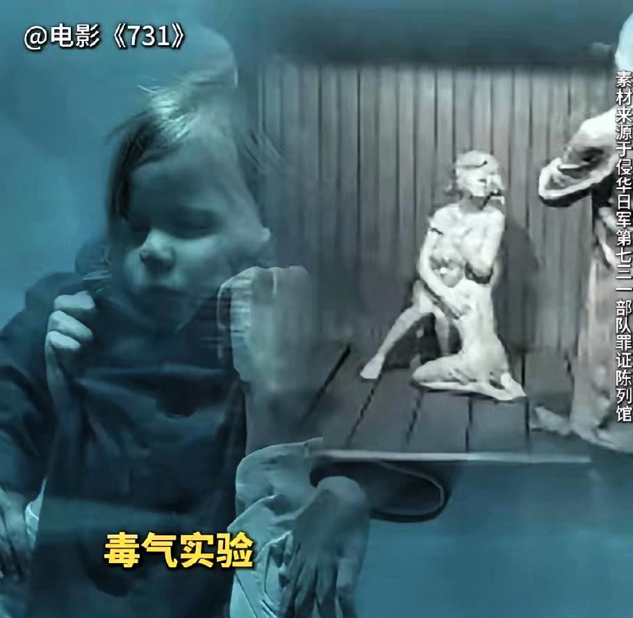 导演你睡了吗？

我今晚注定无眠，不是因为惊悚画面

而是《731》里那个十二岁