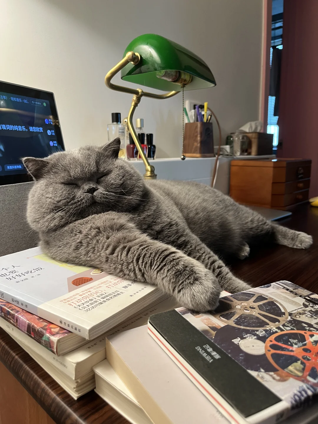 迷不死你！哈哈哈哈哈哈