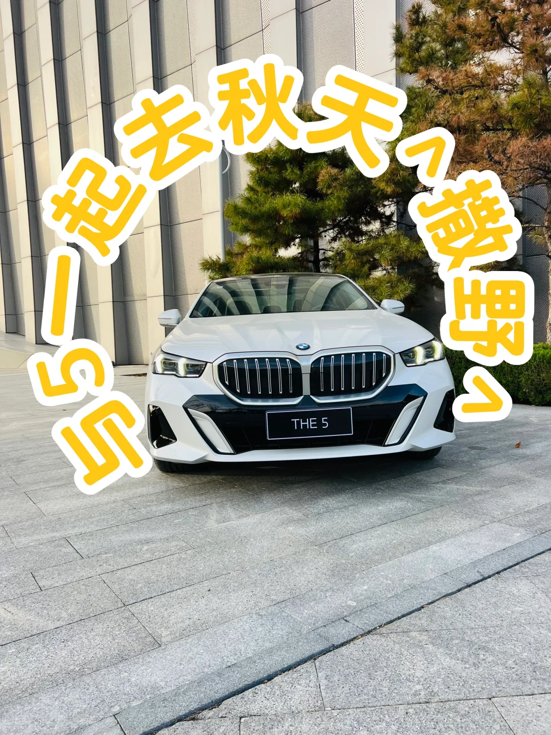 秋日焕新｜宝马5系11月购车指南🚗速看