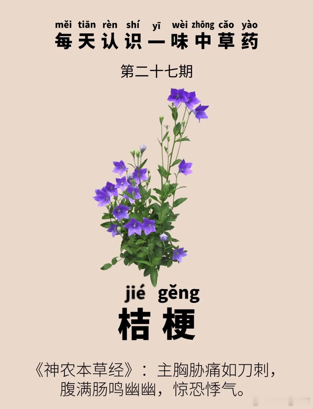 气机升降辨“四升”：黄芪、升麻、柴胡、桔梗的临证异同《素问·六微旨大论》云：“气