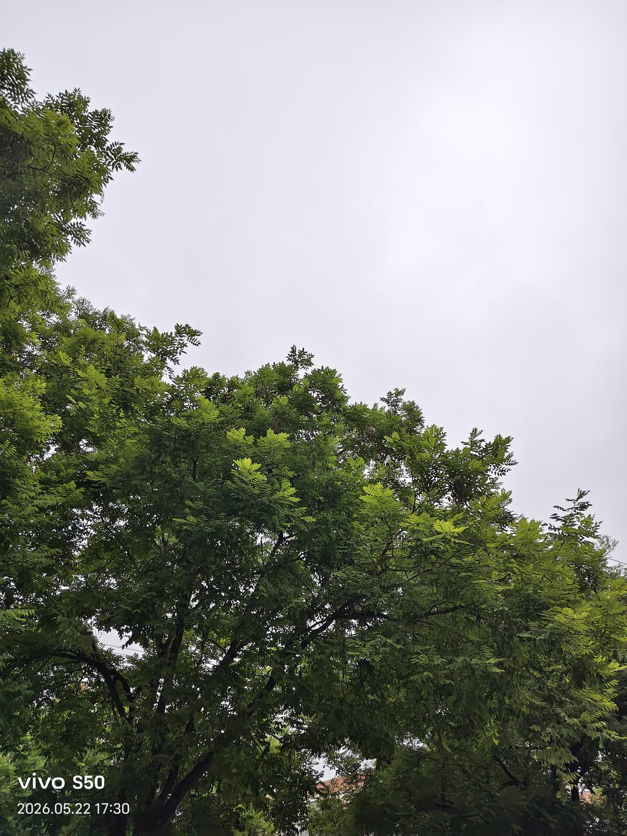 今天望向天空，我想你了