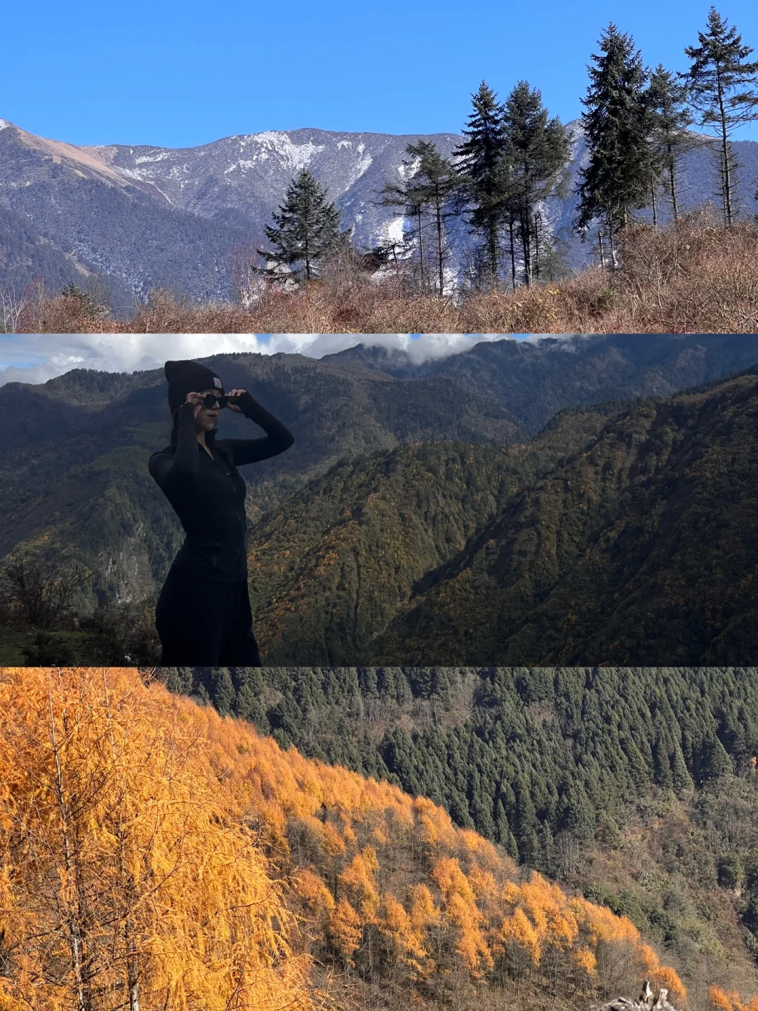 川西赏秋🍂低海拔新手友好徒步路线合集📜