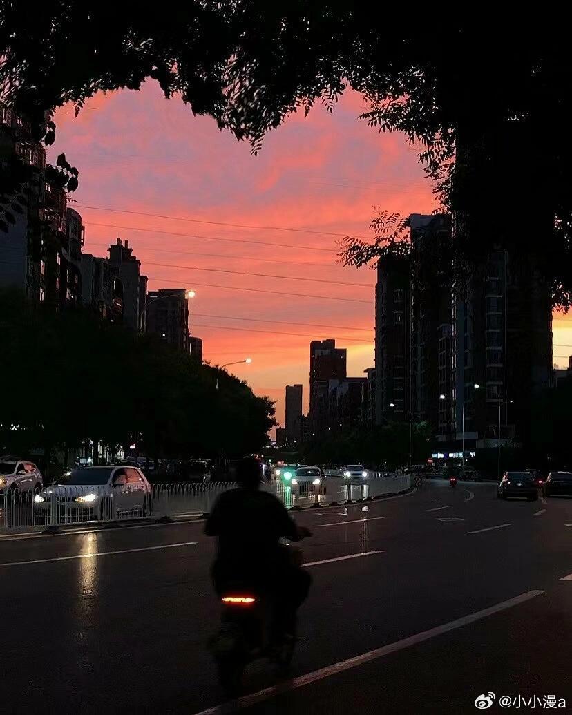 我那时还不了解人性多么矛盾，我不知道真挚中含有多少做作，高尚中蕴藏着多少卑鄙，或