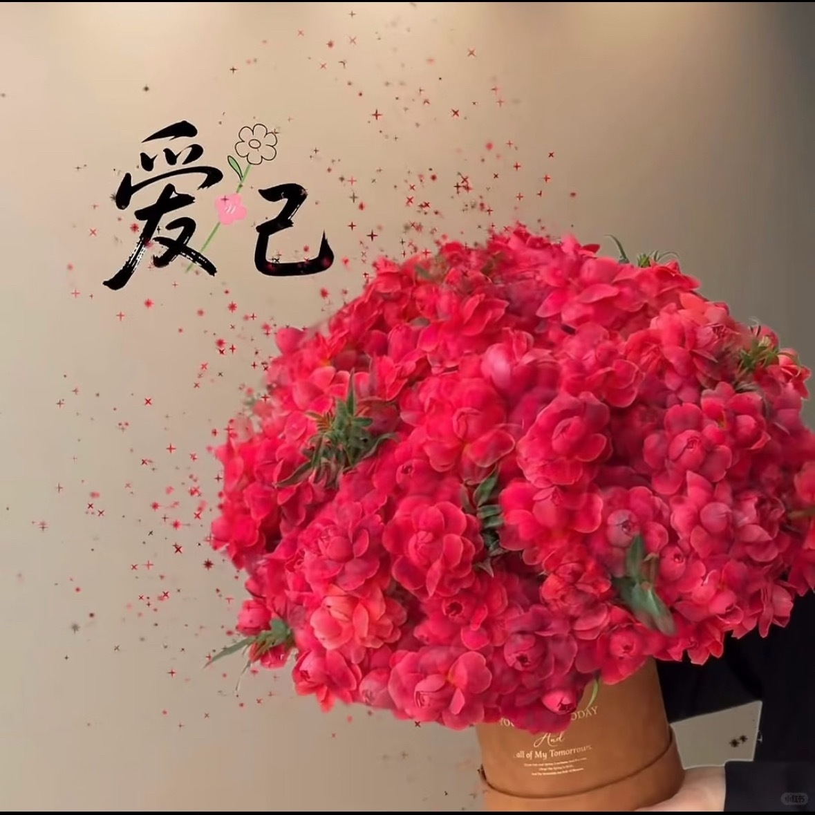 森林驿站[超话]  穿越荆棘，依旧心向暖阳，历经世事，依然内心澄澈，无论生活是浓