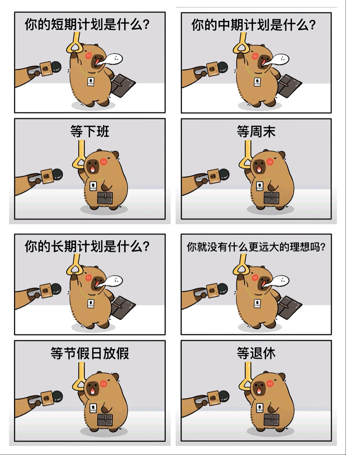 计划满满 ​​​