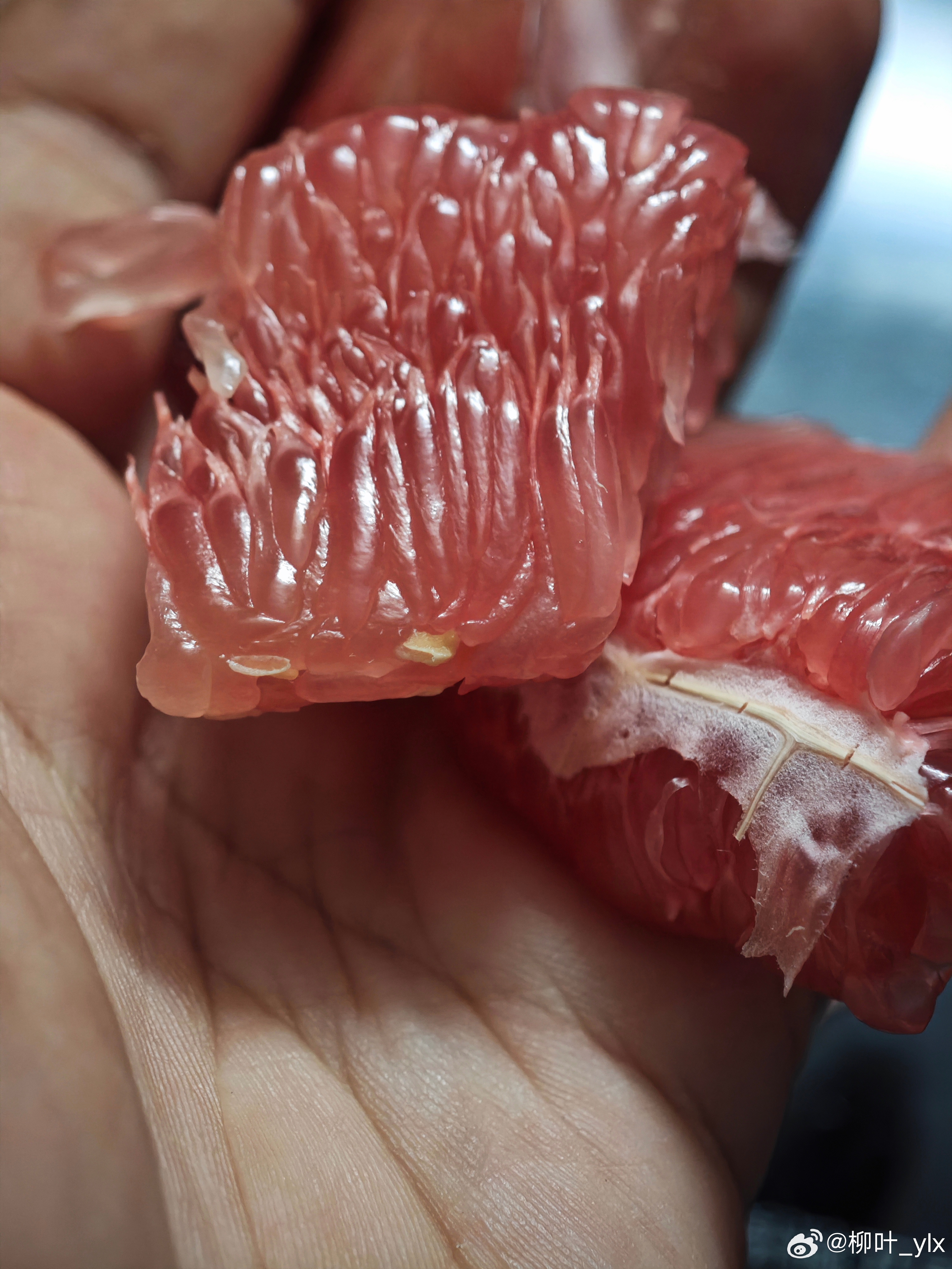 吃惯了红肉柚子，已经对白肉柚子提不起兴趣[doge] ​​​
