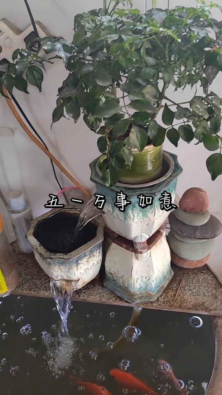 五一万事如意。