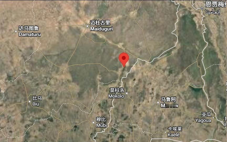 尼日利亚东北部博尔诺州瓦拉贝附近，极端组织ISWAP伏击了亲尼政府的民兵部队，造