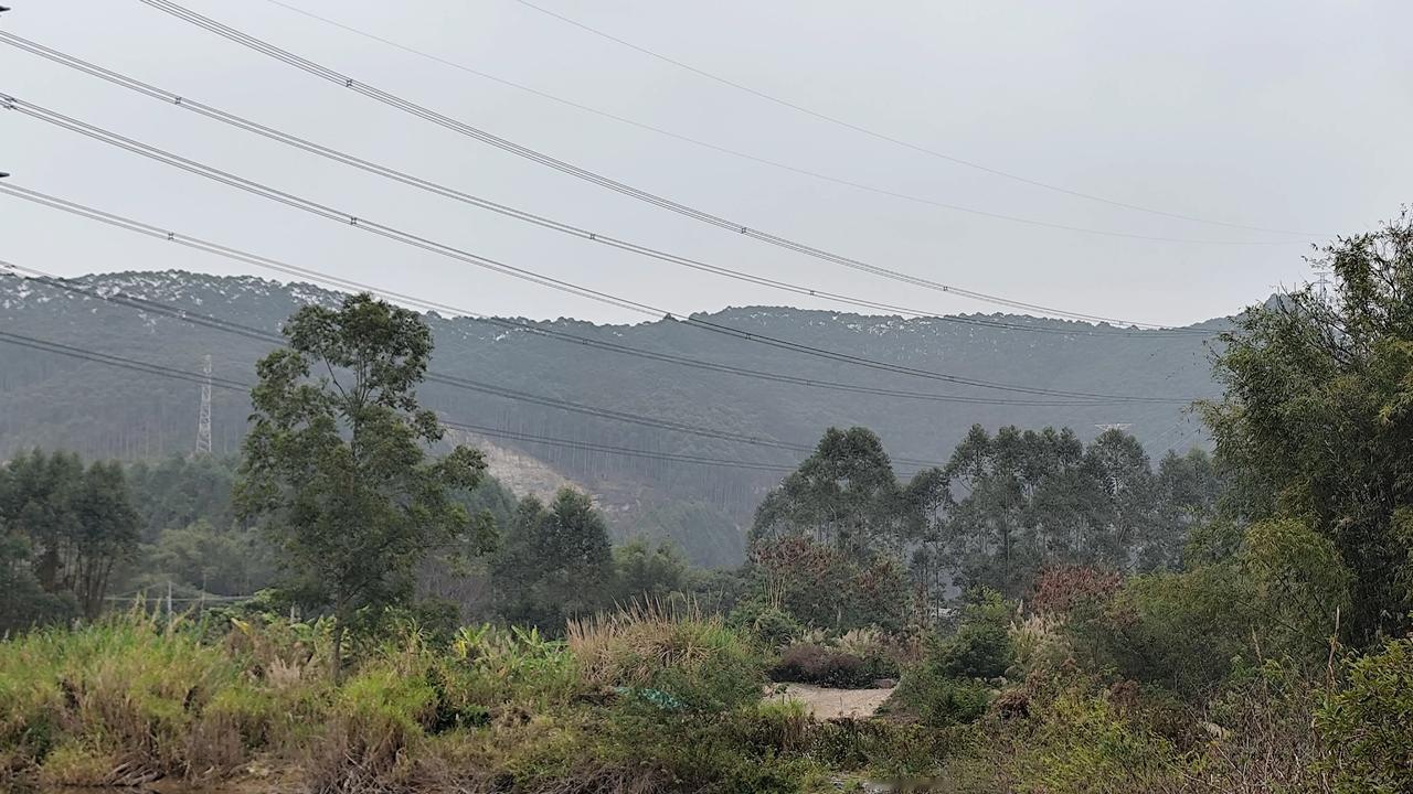 在人生的旅途中，我们常常急于追求远方的目标，却忽略了身边的美好。就像登山，我们一