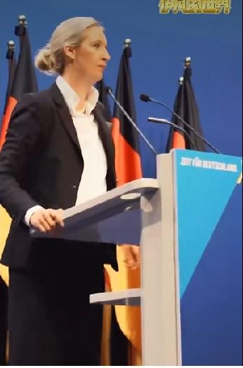 德国民众支持魏德尔，核心不是认同纳粹历史，而是对当下德国主流政坛彻底失望，不愿国