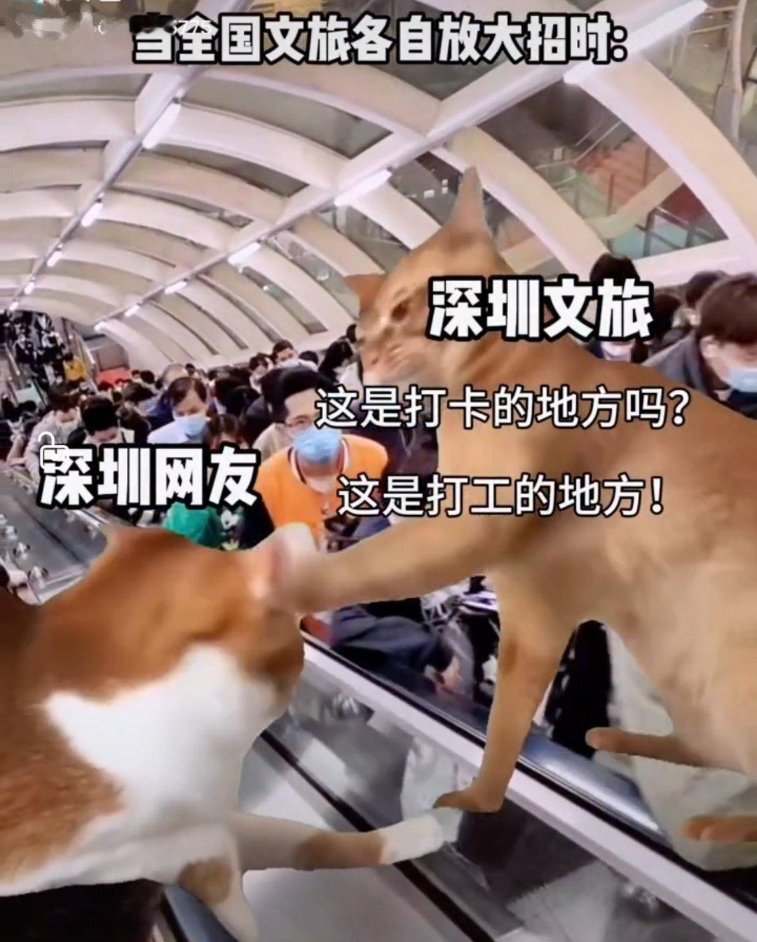 深圳打卡的地方可多了[允悲][允悲] ​​​