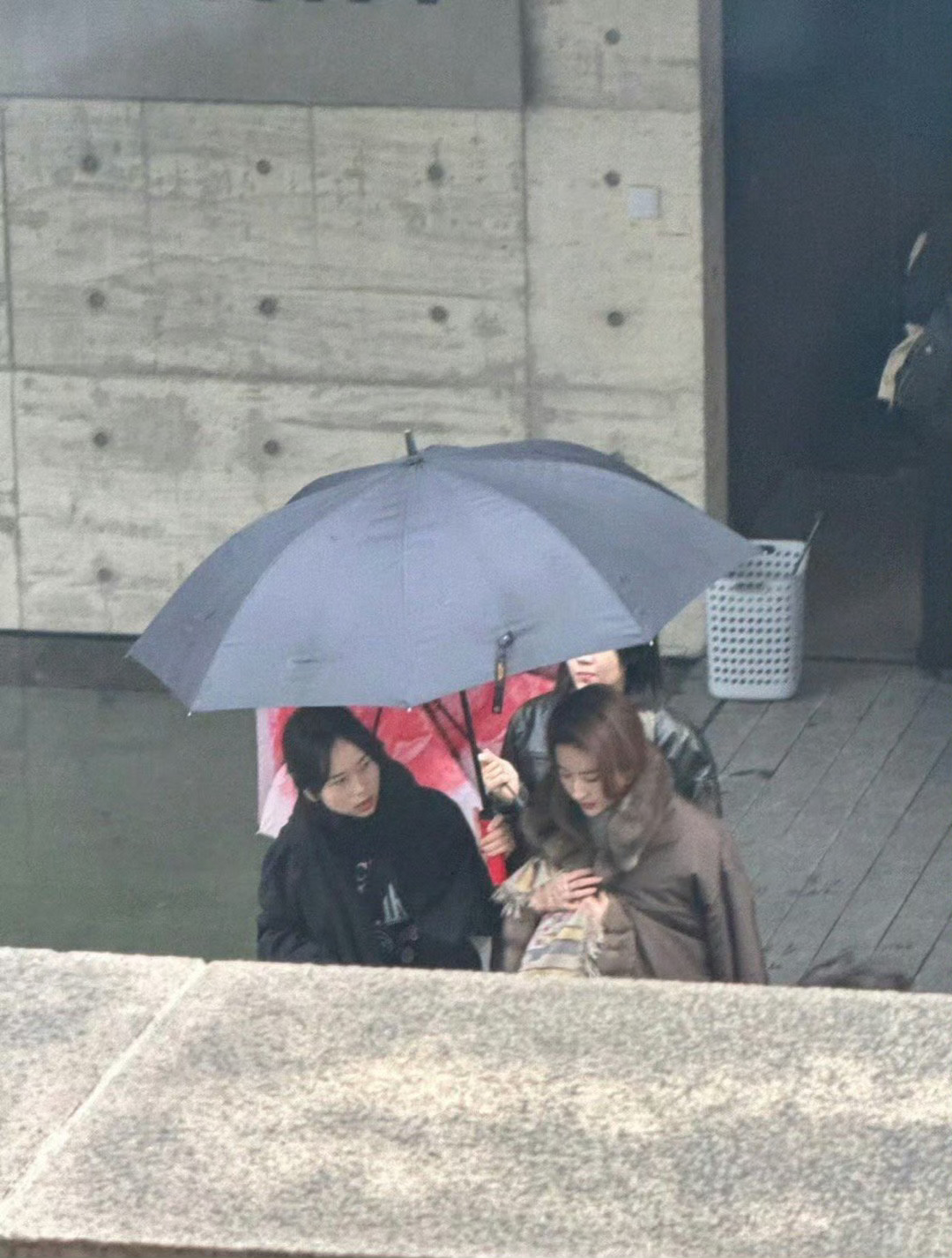 刘亦菲图再糊，都可以感受这高挺的鼻子，骨相实在太好了[馋嘴] ​​​