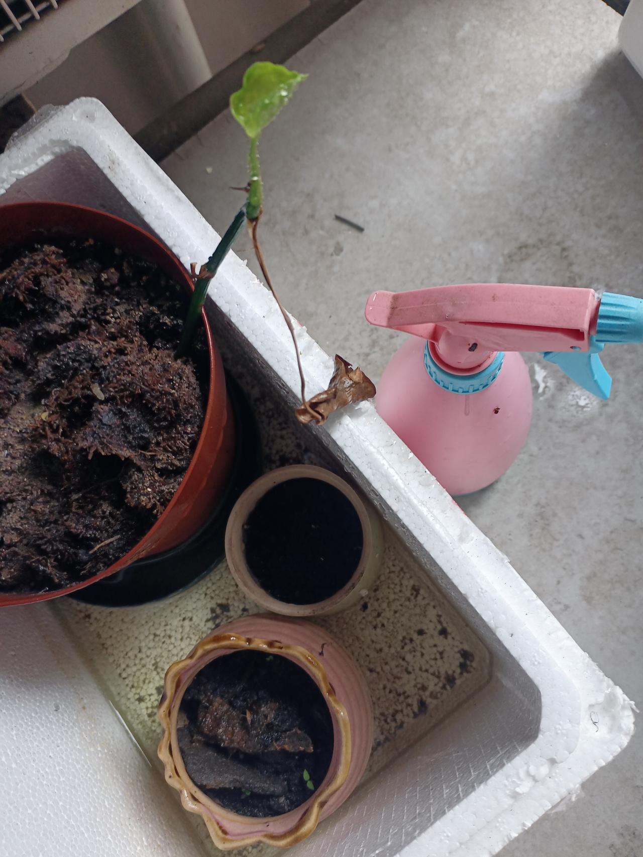一句话概括，幸福是什么⊙∀⊙？首先是无病，其次是有余钱，有人爱，有个人爱好！