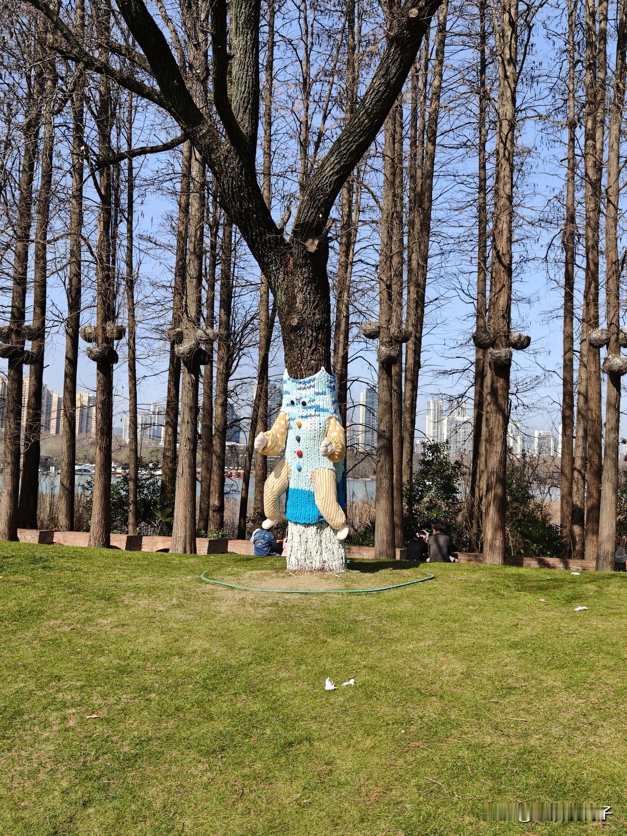 东湖的树，穿着不同的衣服，一起来欣赏一下吧。
原本准备去东湖绿道骑行，结果没有看