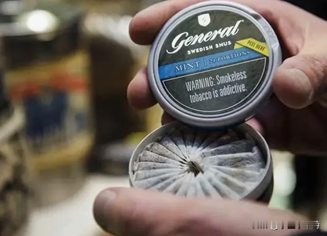 无需点火的烟草～瑞典口含烟 Snus
你是否见过一些外国人，会把一小包东西塞进上