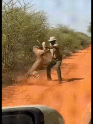 人豹大战

        中午，一黑哥开车路过非洲草原无人区，不料车子抛锚。