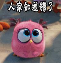 回忆专用小马甲咦？难道不是自己编辑编了个故事吗？难道女孩确有其人？所以真的不能瞎