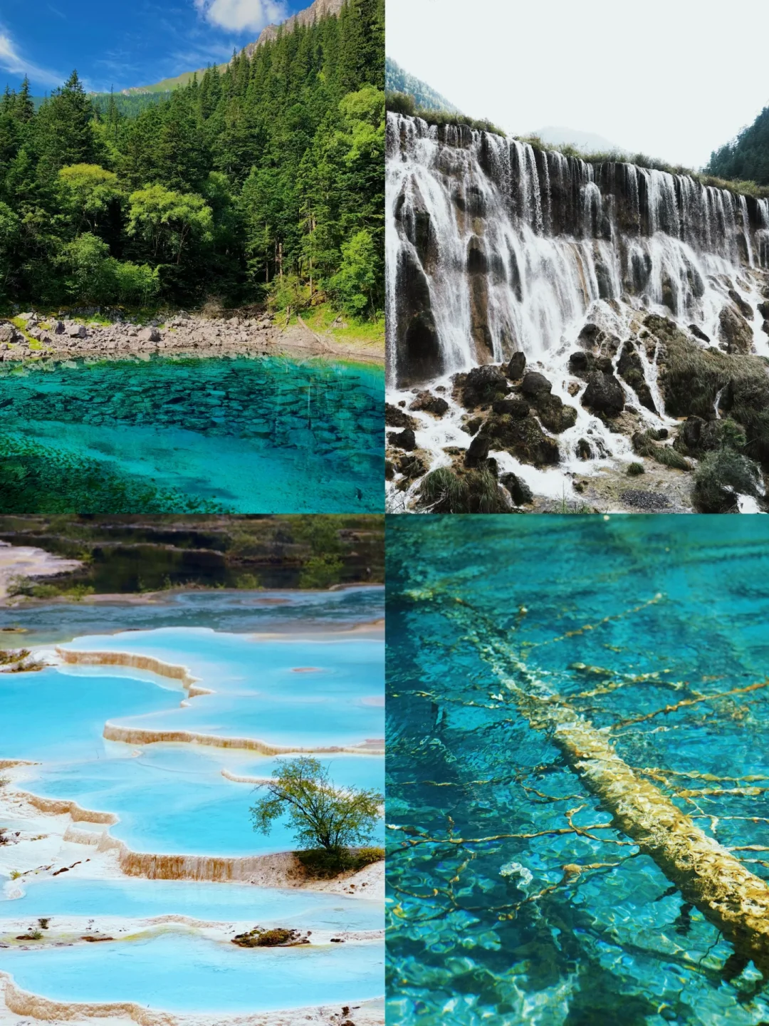 🚄刚从九寨黄龙回来 随便问‼️附攻略‼️