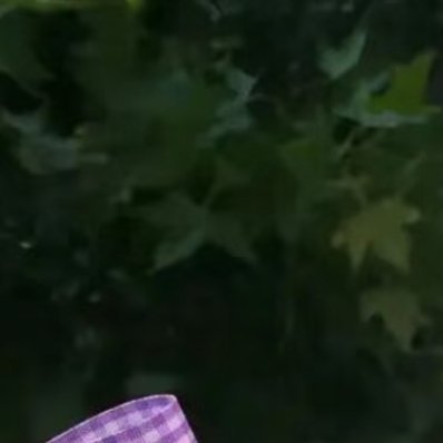 0000世间万般皆有转机，与其焦虑内耗，不如从容向前。珍惜眼前光景，保持松弛乐观