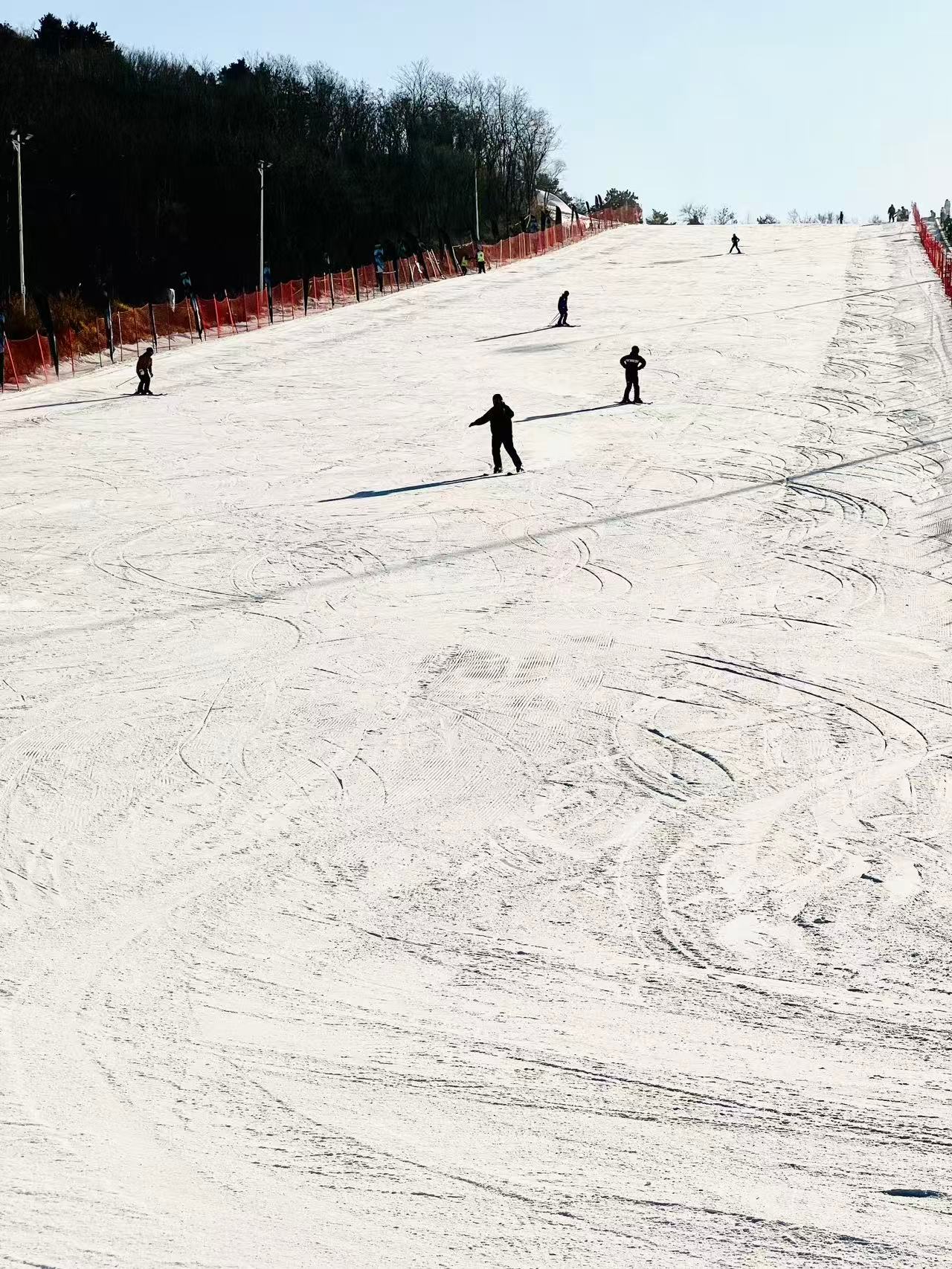 谁能拒绝冬天去沈阳滑雪呢 不少游客奔赴沈阳开启冬日滑雪之旅，意外发现这里不仅有畅
