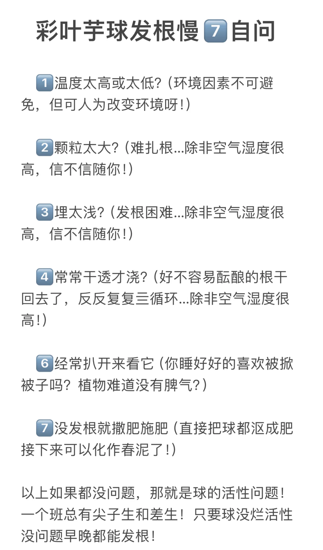 彩叶芋发根慢7自问