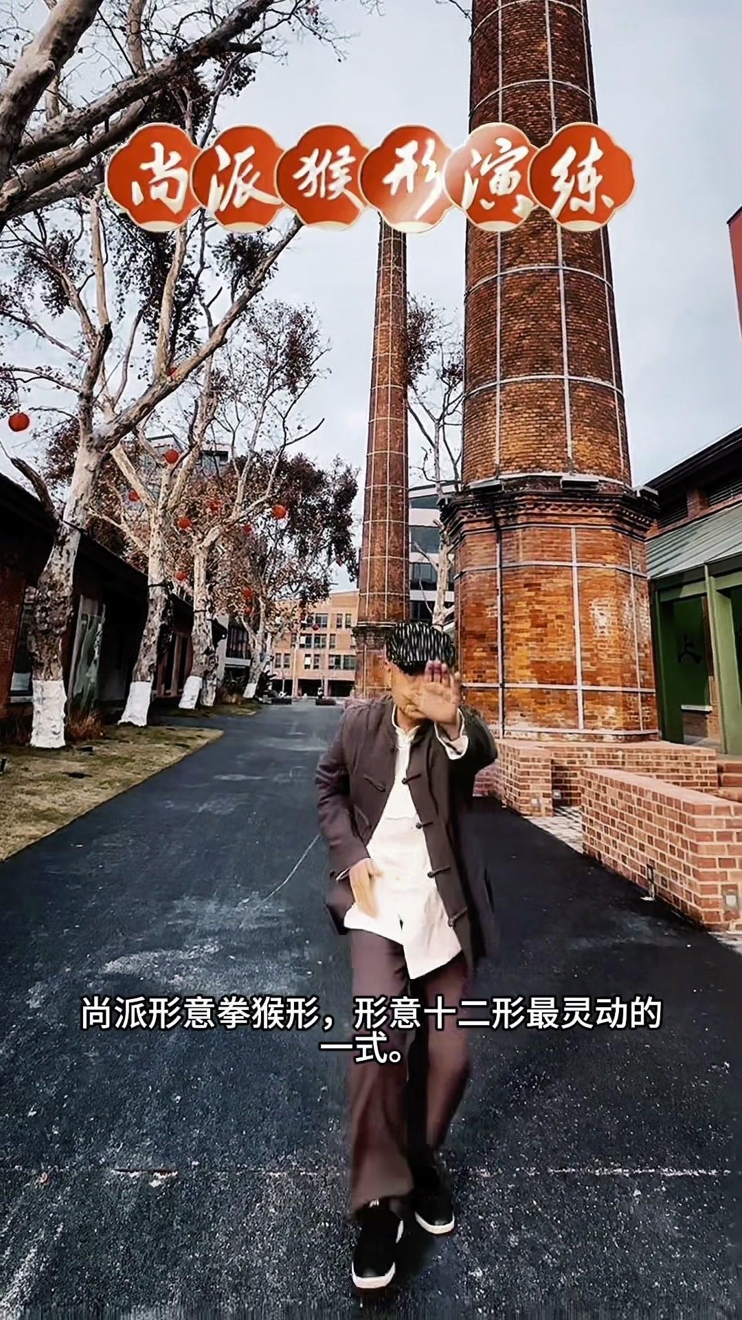 这套拳法不求形似，着重神合。一招一式都透着尚派风格，从纵山跳剑的蓬勃，到蹬枝坠枝