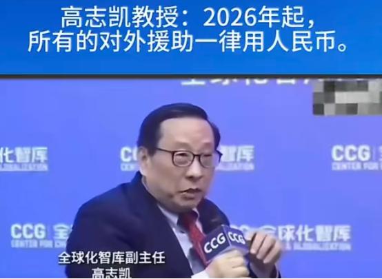 高志凯教授真是一针见血

他在近期接受媒体采访时，大胆建言：从2026年起，中国