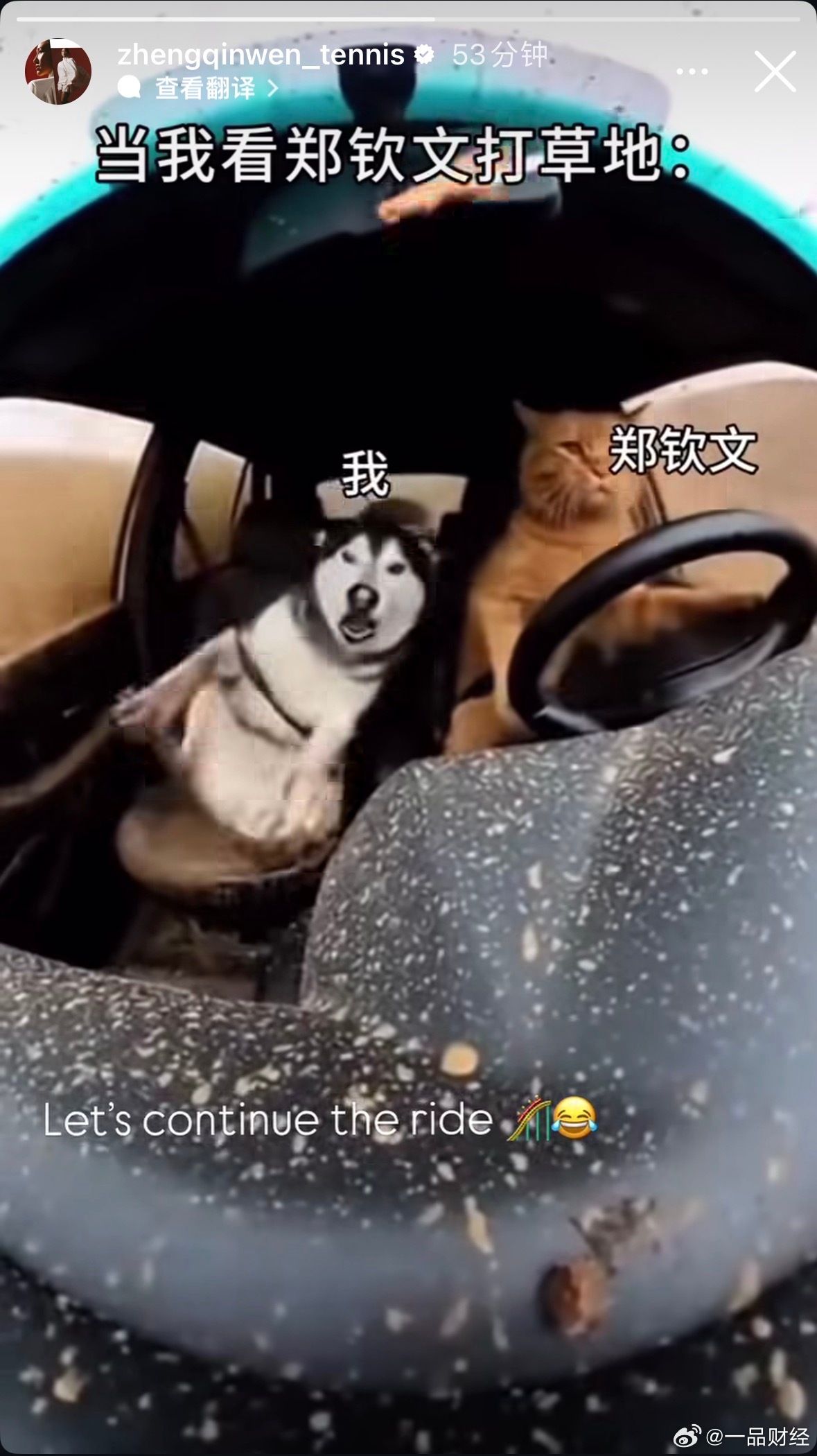 【郑钦文晒自己搞笑鬼畜视频】当我看郑钦文打草地6月26日，郑钦文在社交平台分享自