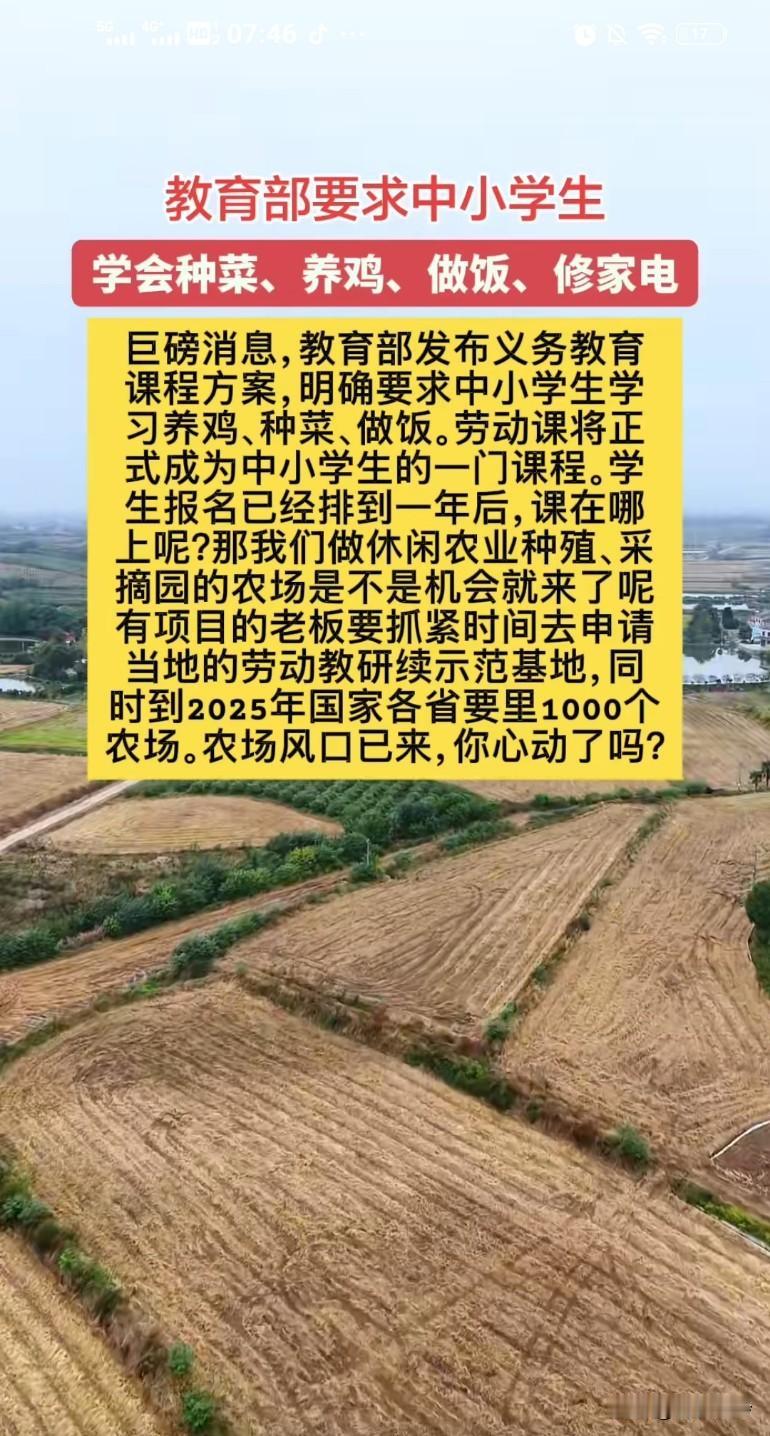 教育部要求中小学生学会种菜、养鸡、做饭、修家电，教会他们一些生活的技能挺好的
其