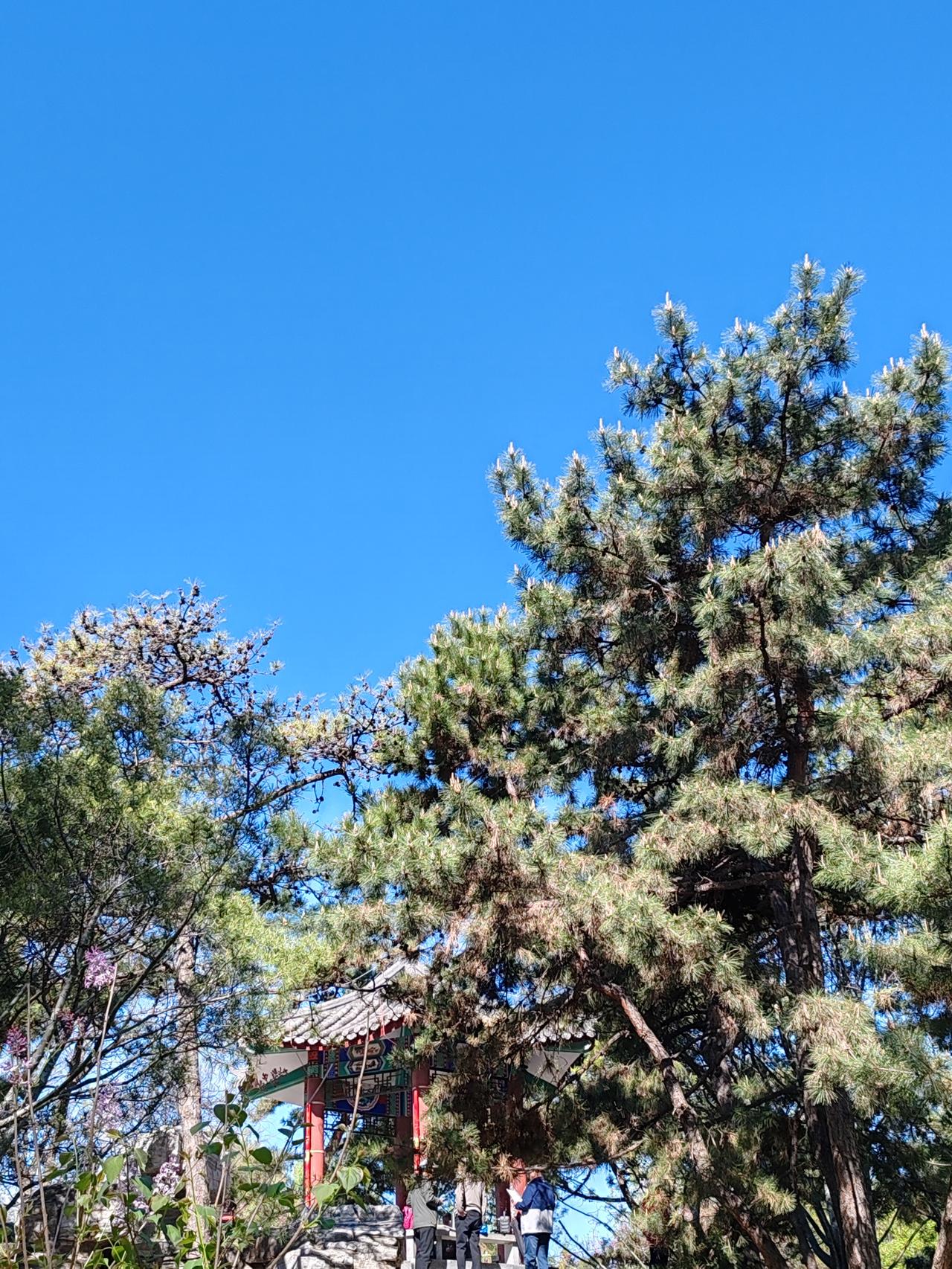 春日生活打卡季春天的随手拍。