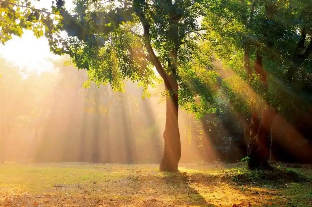 早安我们要看清这就是生活，这就是人生，没有完美，只有我们调整心态，学会接纳，尽心