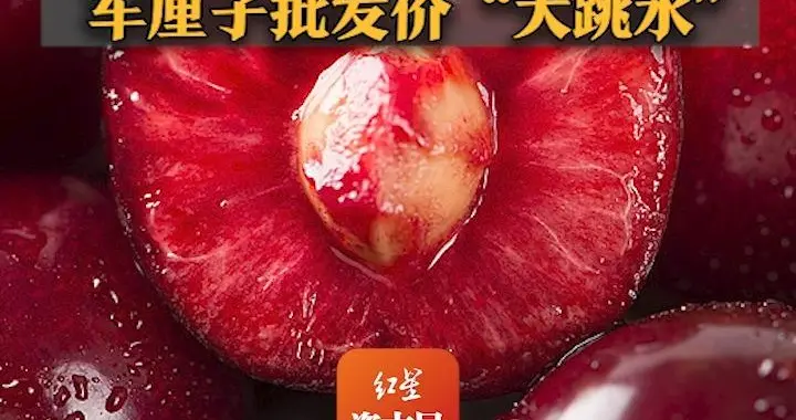 1700元降至500元！得益于海运成本下降，车厘子批发价“大跳水”，预计之后还要降