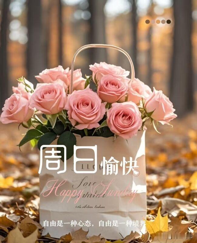 [玫瑰]   深深的情，厚厚的意，送上健康和顺利。一个招呼有思念，一声问候有情谊