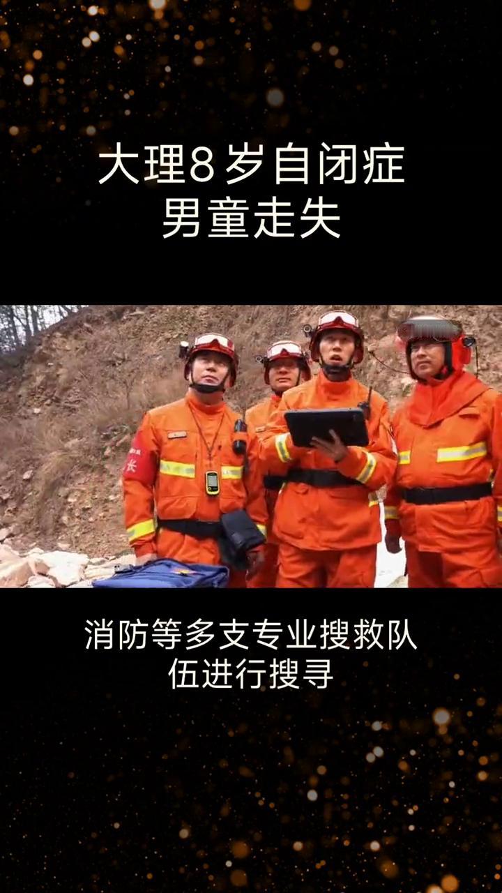 大理8岁自闭症男童走失。
8月9日，一名8岁自闭症男童在苍山迷路，历经数日搜救，