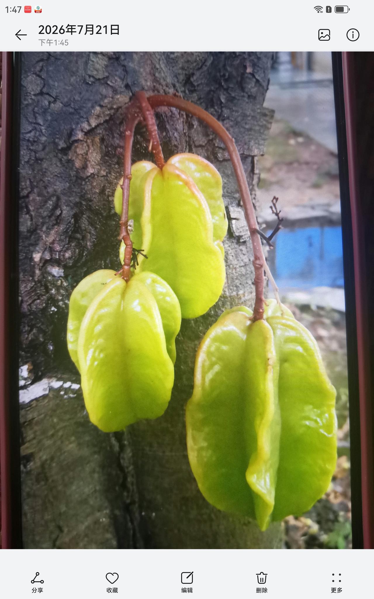 大科技还是有希望的，而且助力的板块越来越多，因为市场底到了，跟之前的科技独挡一面