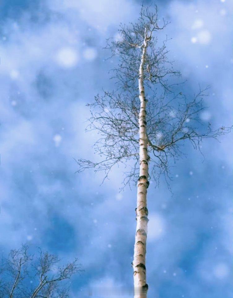 我经常有那种感觉，如果这个事情来了，你却没有勇敢地去解决掉，它一定会再来。生活真