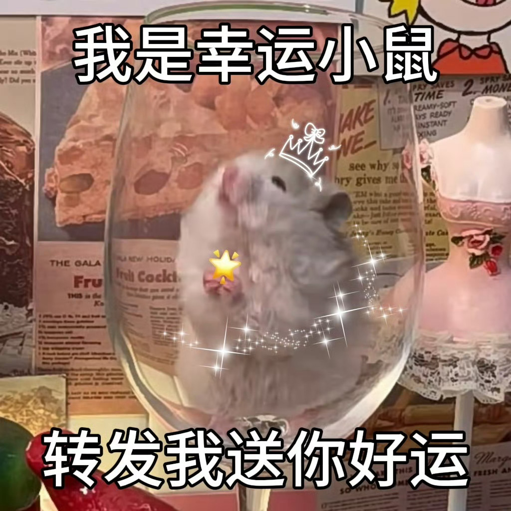 转发这只幸运小鼠 五月送你好运🌟 ​​​