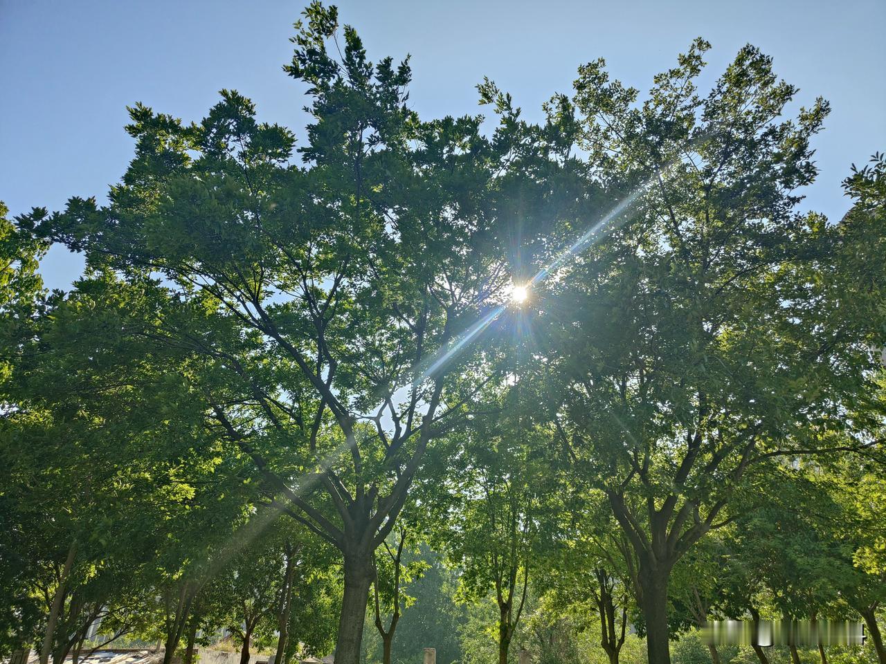春日美景大赏春天已经过去，空气变得更好清新，阳光变得更加美好，尽情享受大自然赐予