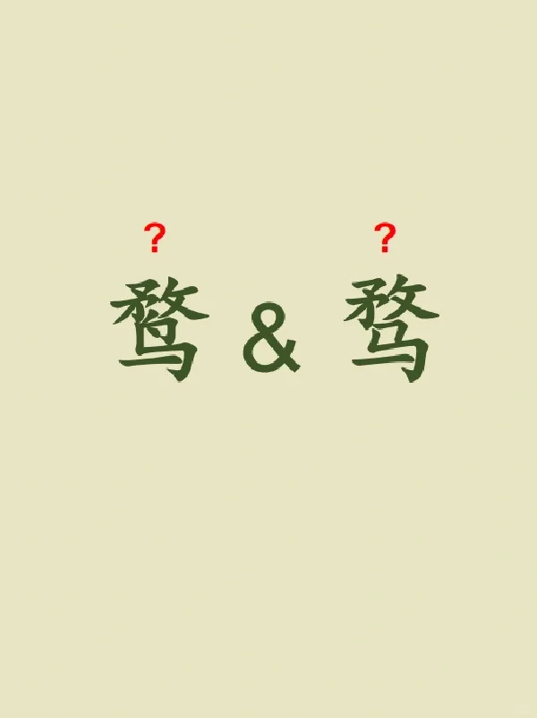 今天来学习——鹜&骛