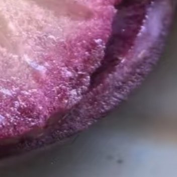 牛奶果适合在温暖湿润、光照充足的环境中种植，耐寒性较弱，适宜生长温度为20-30