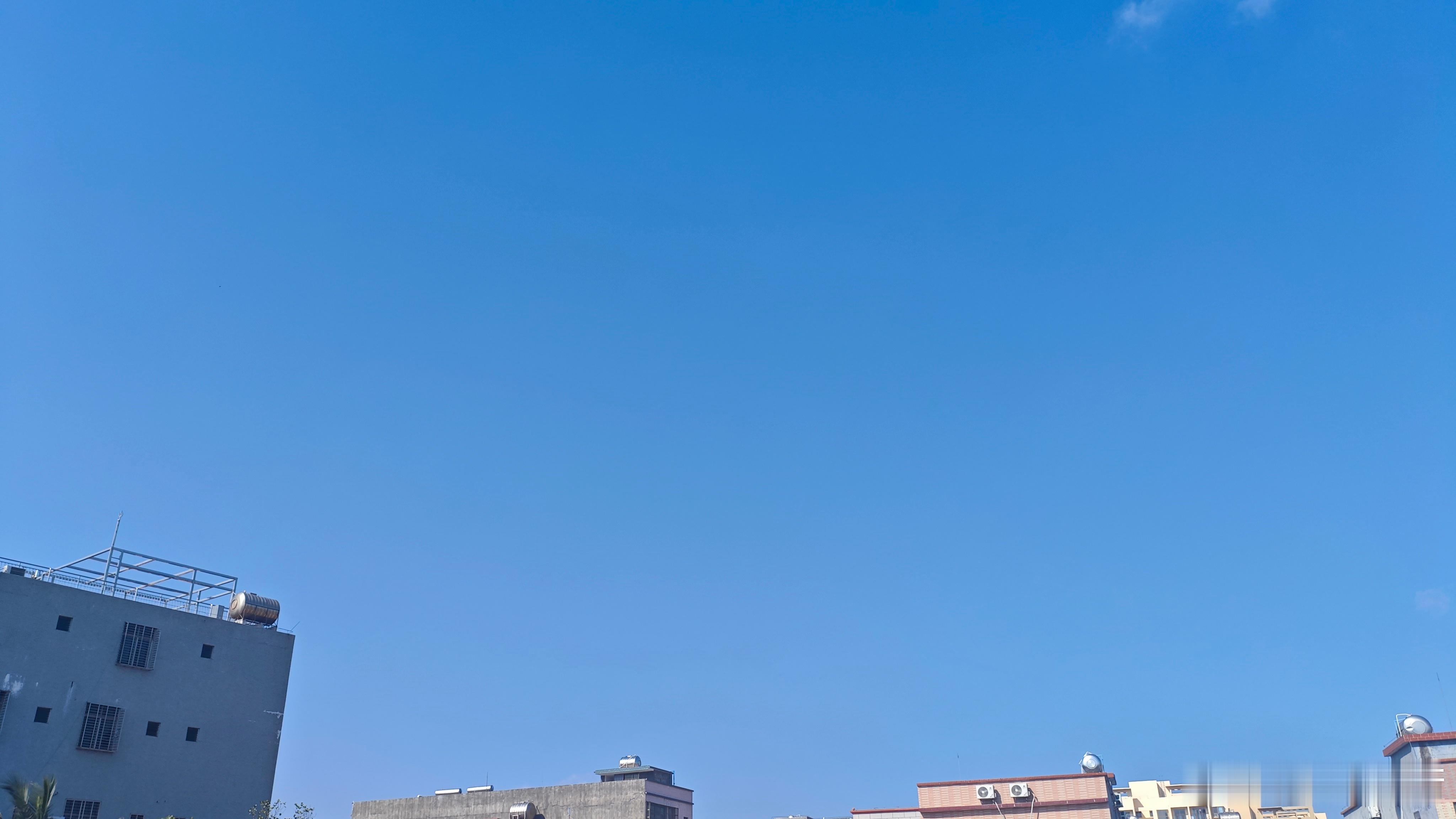 今天的龙楼有种雪后初春的感觉 