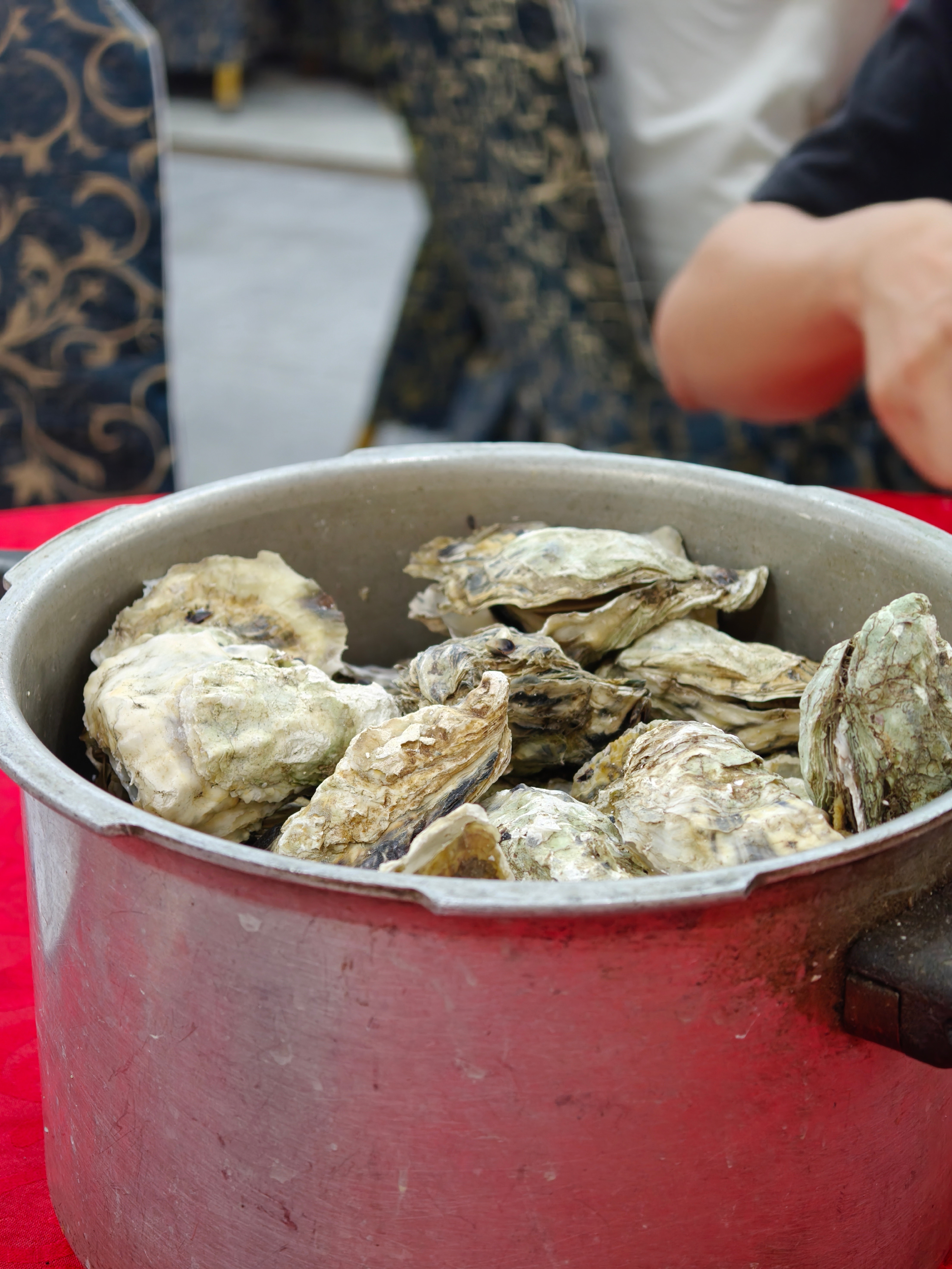 和朋友出来吃饭 叫了一锅的生蚝