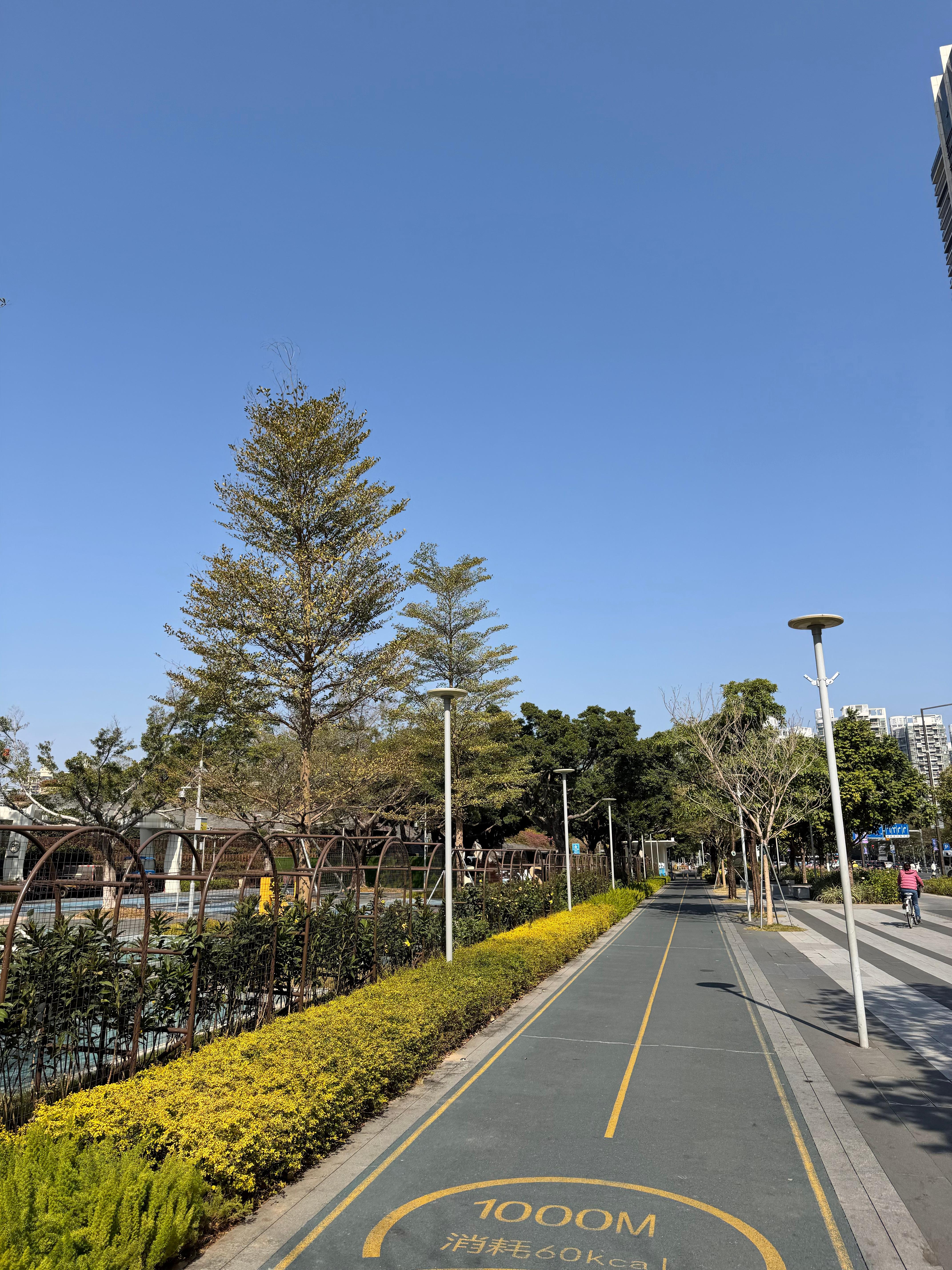 个位数温度的深圳，刮起风是真冷啊💨 深圳·深圳前海华侨城JW万豪酒店