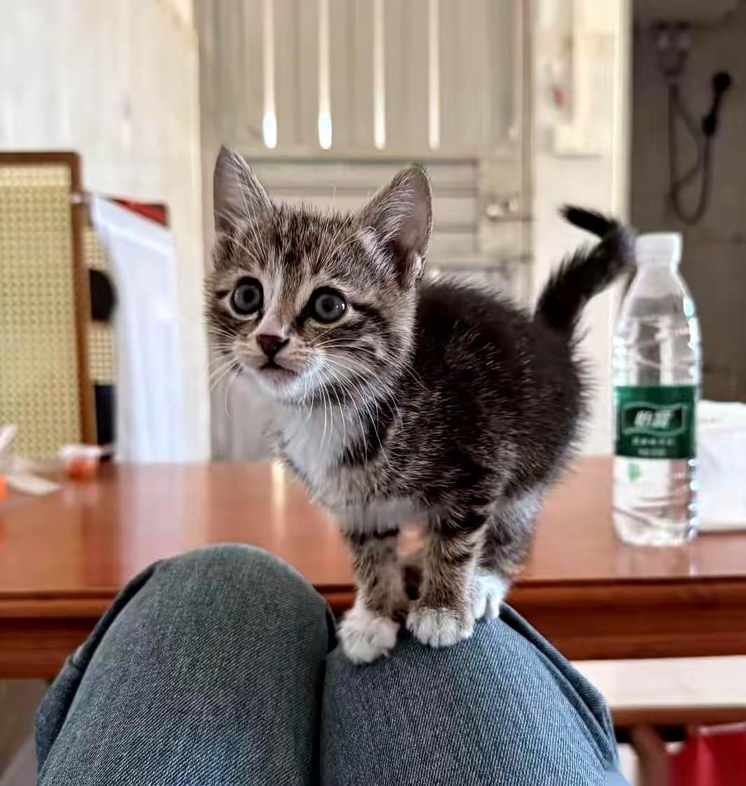 我活这么大，还真没见过这么“托付”的事儿。那天在加油站，我刚停好车，车门还没完全