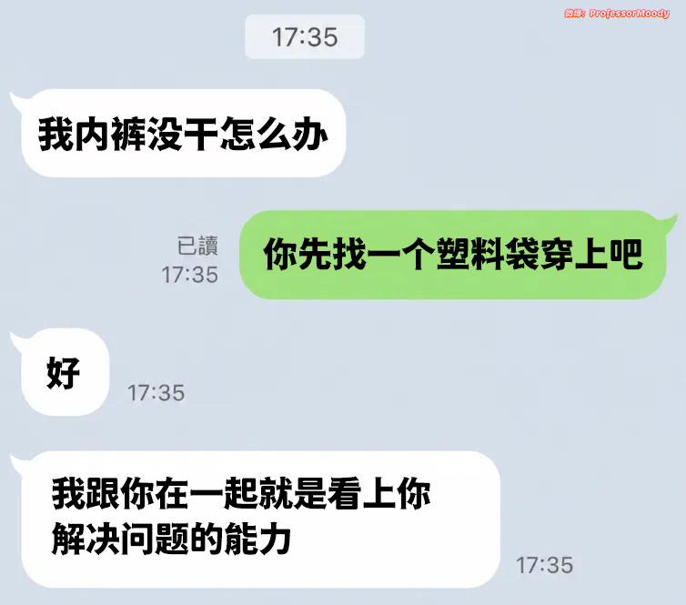 智性恋傻洋傻月 