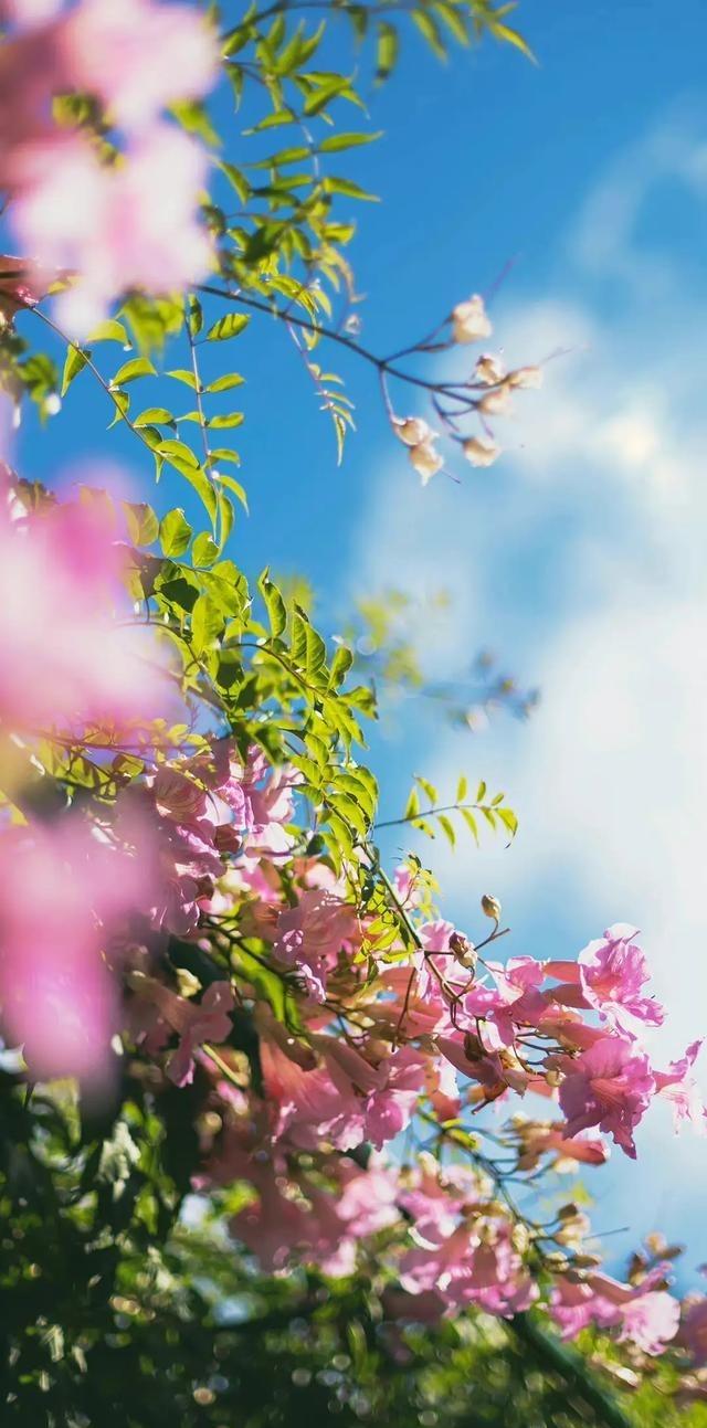 男人小便，对着墙；女人小便，靠着墙；男人最怕前面不安全；女人最怕背后有危险；女人