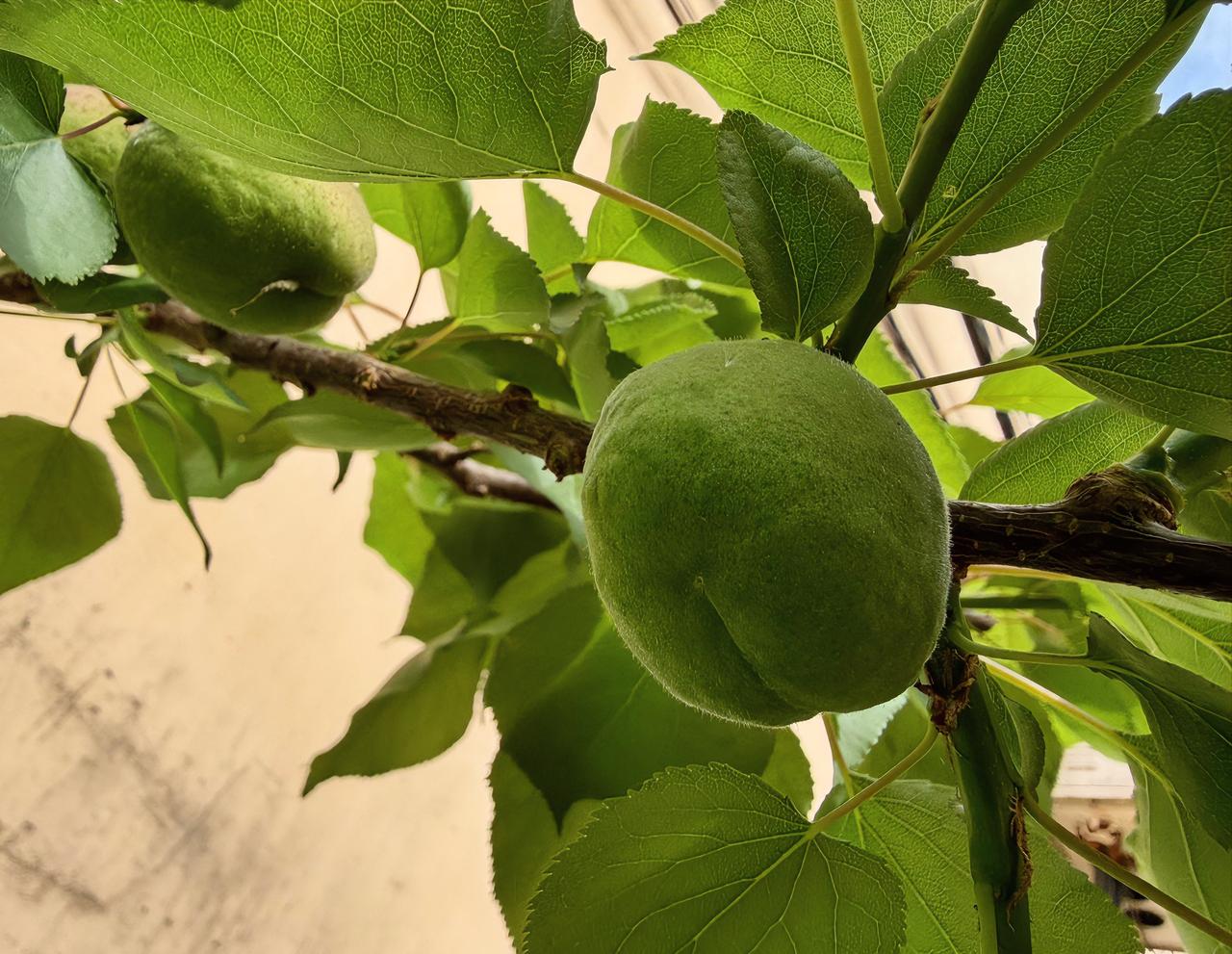 我发现一件很有意思的事。

爱你的人，生怕你跑了，总想着为你花钱。你开心，他就舍