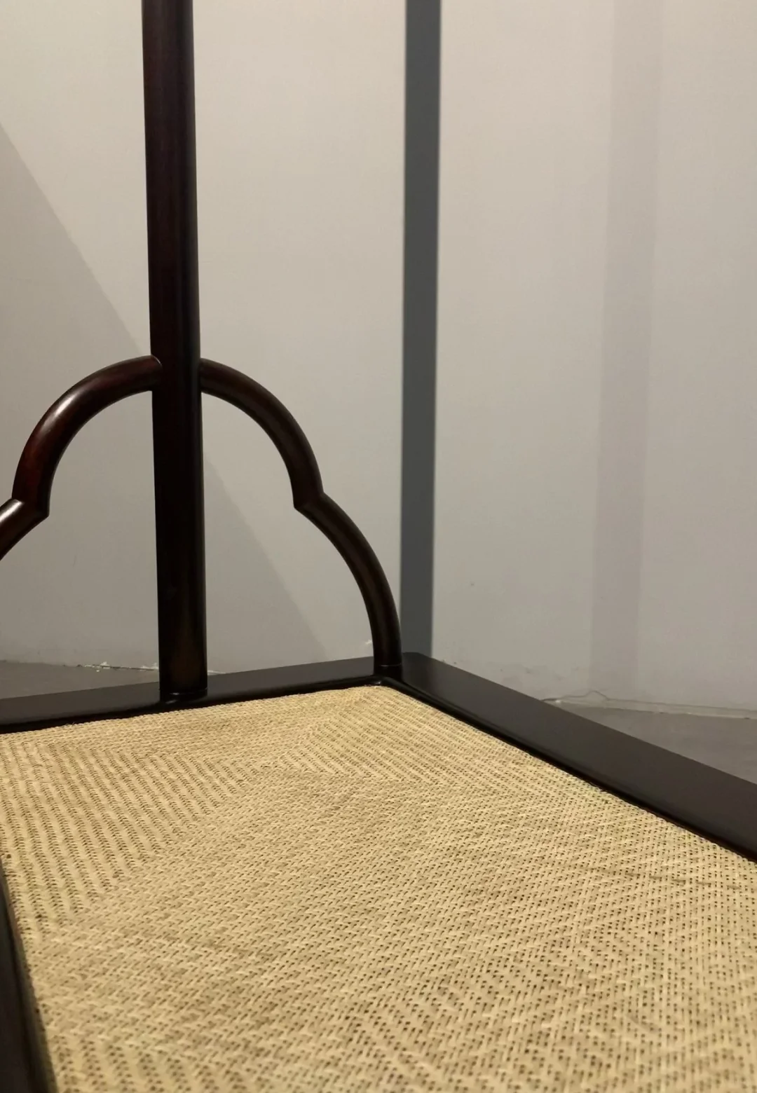 美女总裁的最爱红木衣架
