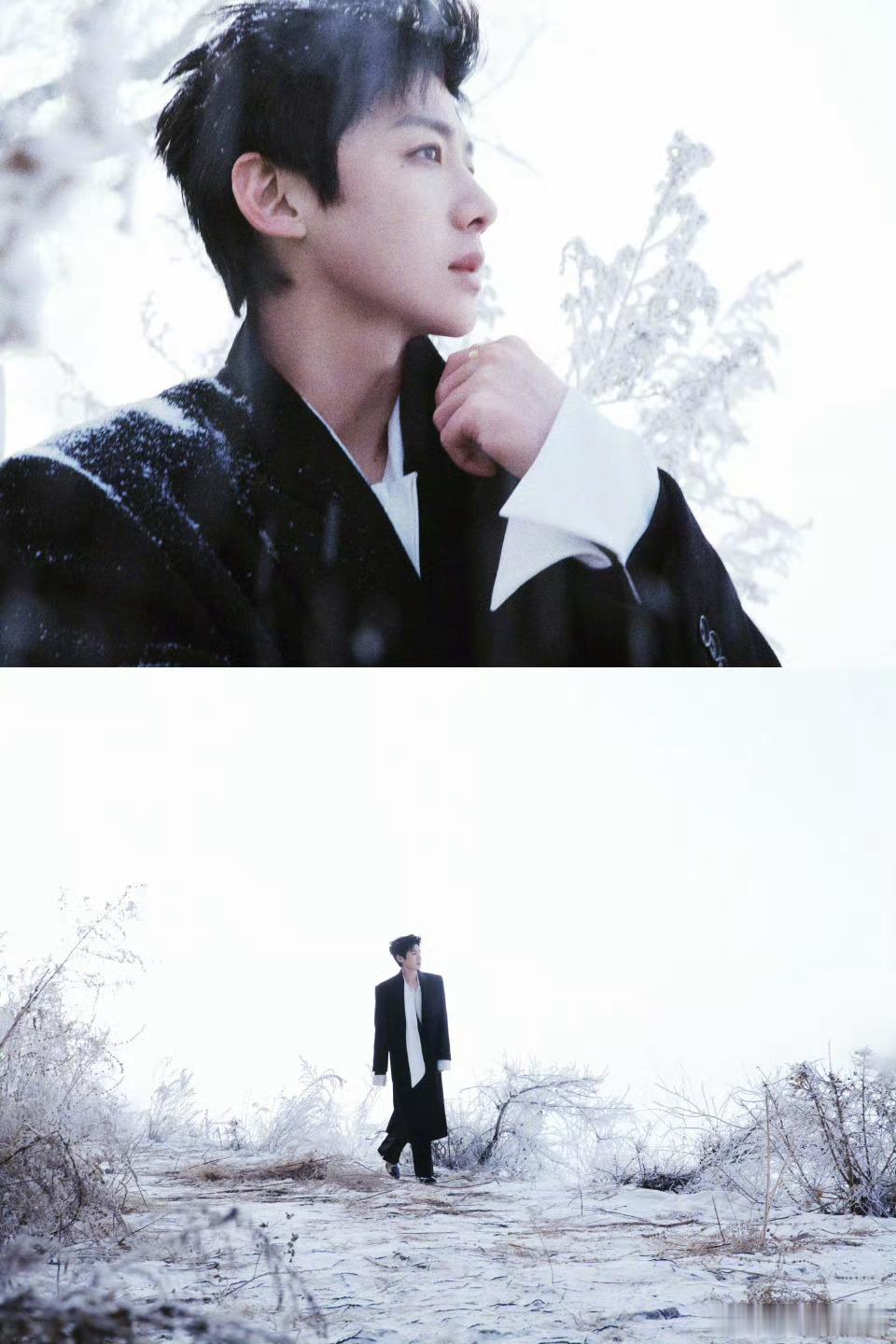 白敬亭 微博之夜出图！！「雾凇」下的帅哥，浪漫冬日氛围感拉满